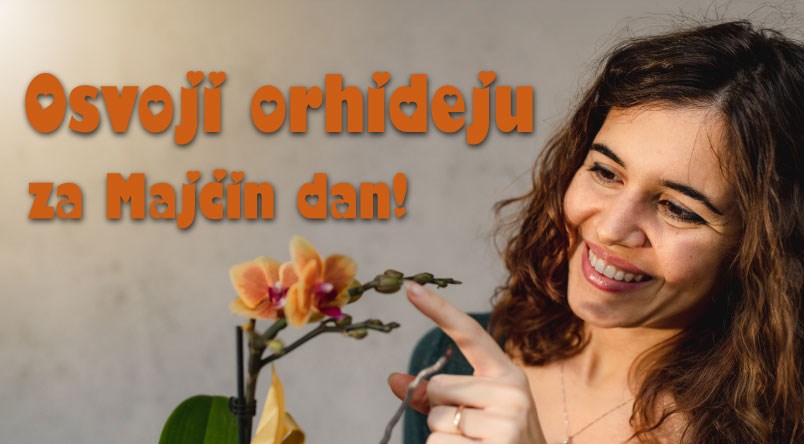 Nagradni natječaj "Osvoji orhideju za Majčin dan"