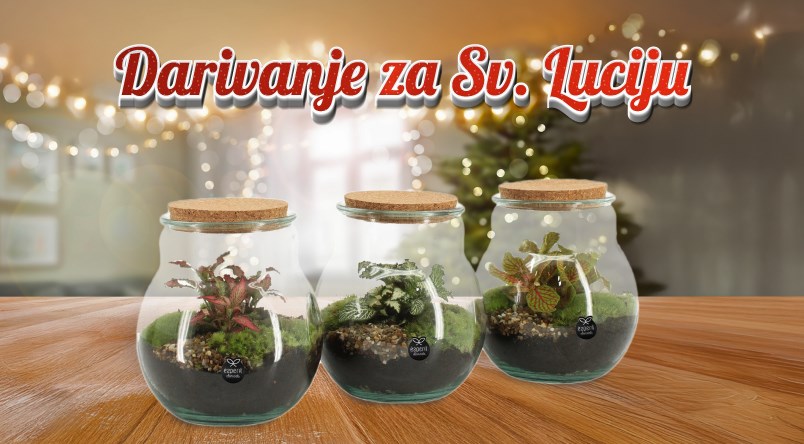 Nagradni natječaj "Sveta Lucija"